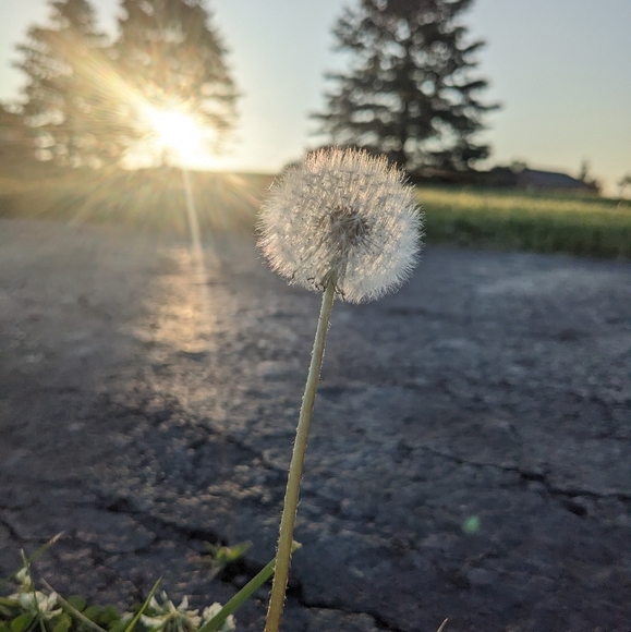 Meet your Posher, Kayla - Picture 1 of 1